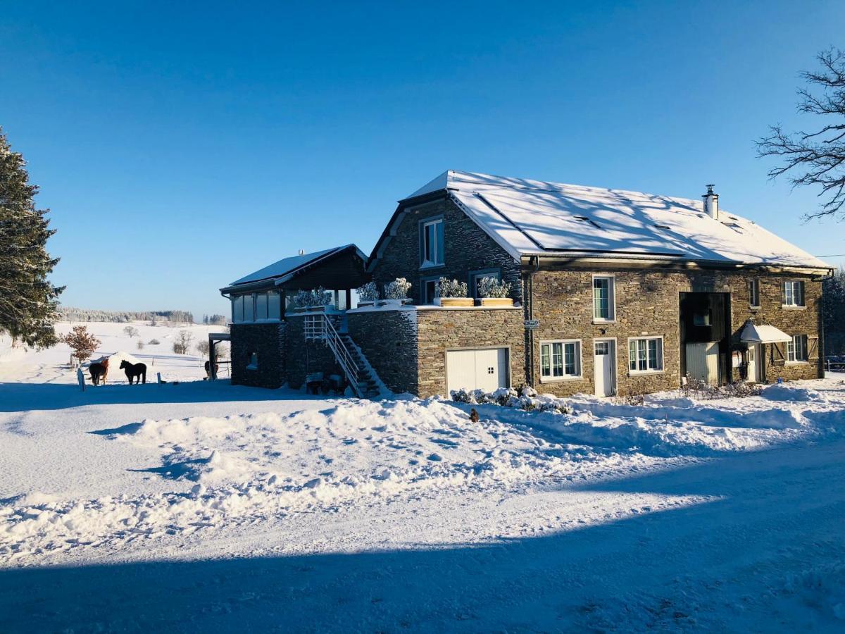 B&B Pegasus II - Chambre Familiale De Luxe Avec Sauna Privatif Vielsalm Bagian luar foto