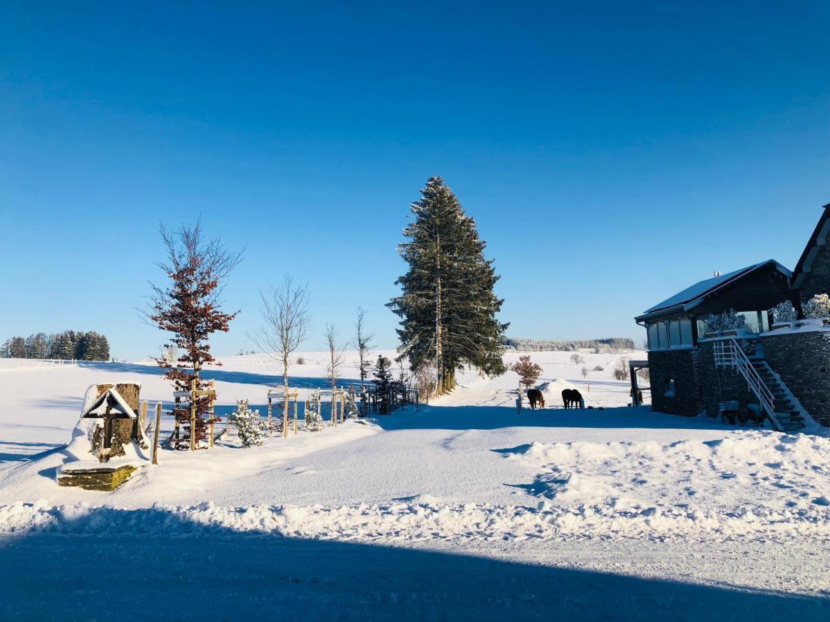 B&B Pegasus II - Chambre Familiale De Luxe Avec Sauna Privatif Vielsalm Bagian luar foto